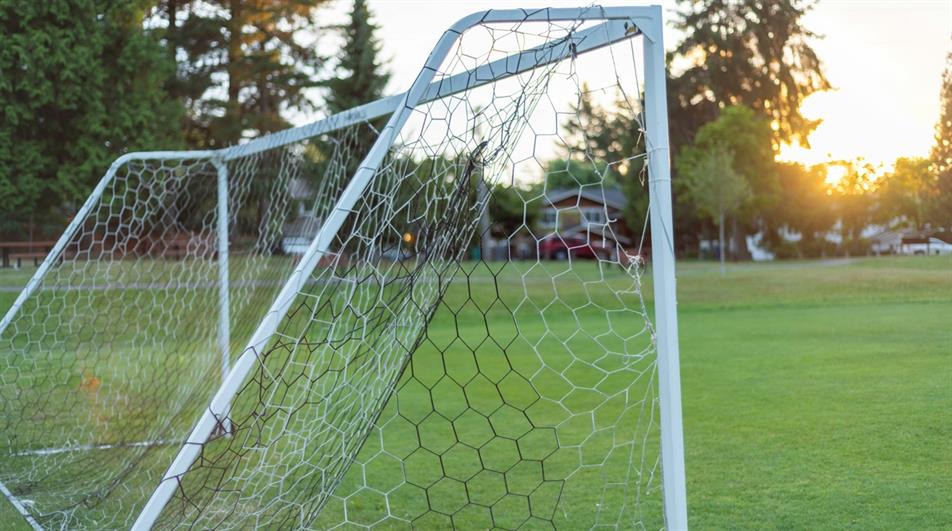 Football goal in field